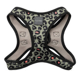 Savanna Step In Harness - FINAL SALE NO RETURNS OR EXCHANGES